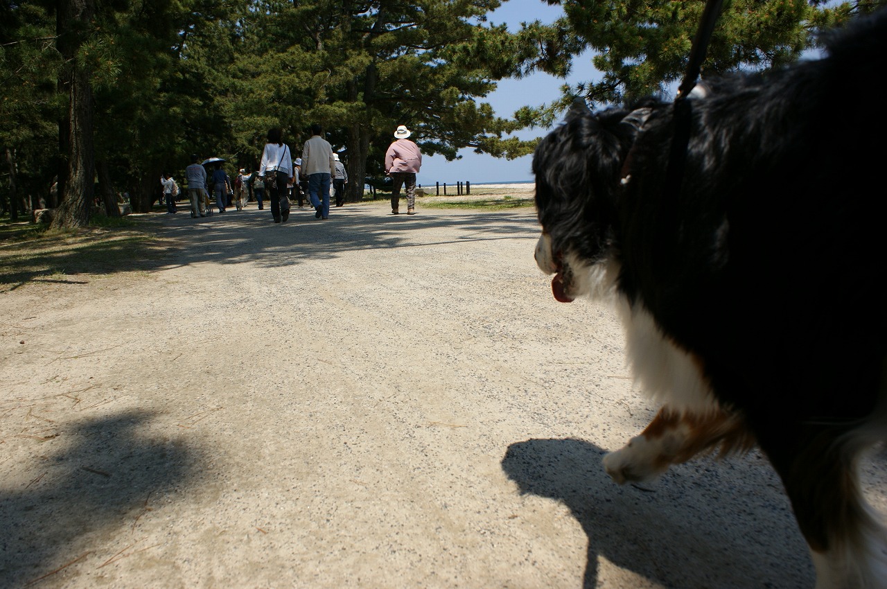 f0161964_14511266.jpg