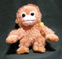 f0080365_23891.jpg