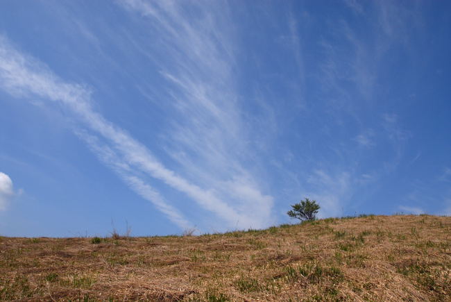 e0169286_021440.jpg