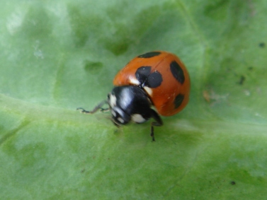 e0111793_14382853.jpg