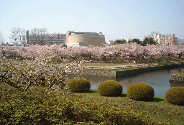 b0032694_19374760.gif