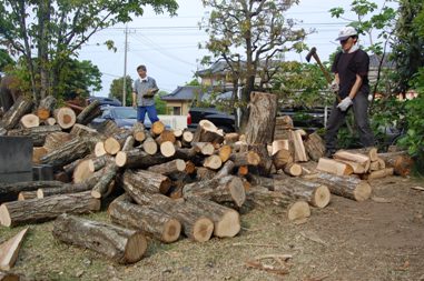 ドクター宅での薪割り大会_b0148594_213375.jpg