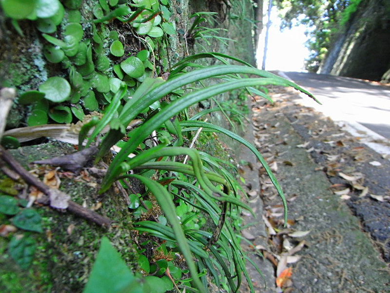 f0204094_10144899.jpg