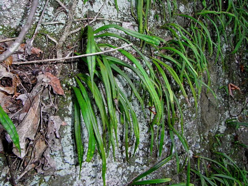 f0204094_101579.jpg
