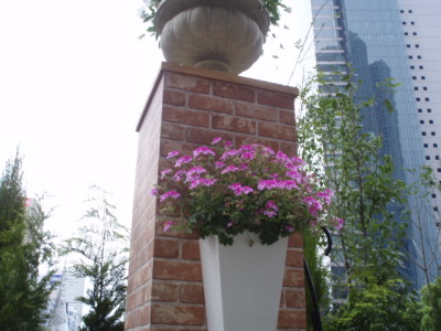 c0086895_1646136.jpg