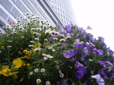 c0086895_16463335.jpg