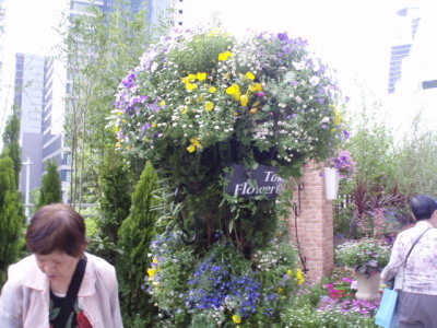c0086895_1649694.jpg