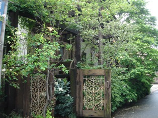 e0143298_2124739.jpg
