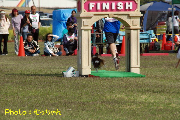 c0044199_23285958.jpg