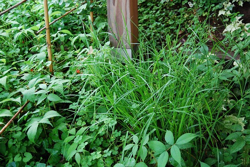 c0124100_16275380.jpg