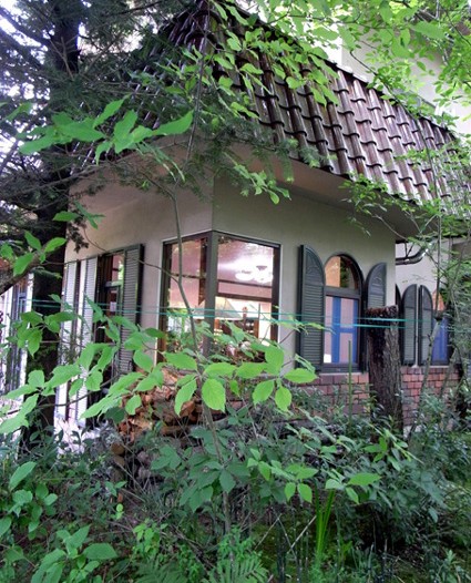 e0043700_2355872.jpg