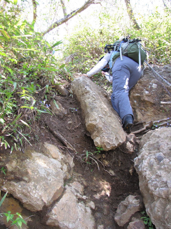 岩と新緑の道　奥久慈男体山_b0116703_22184712.jpg