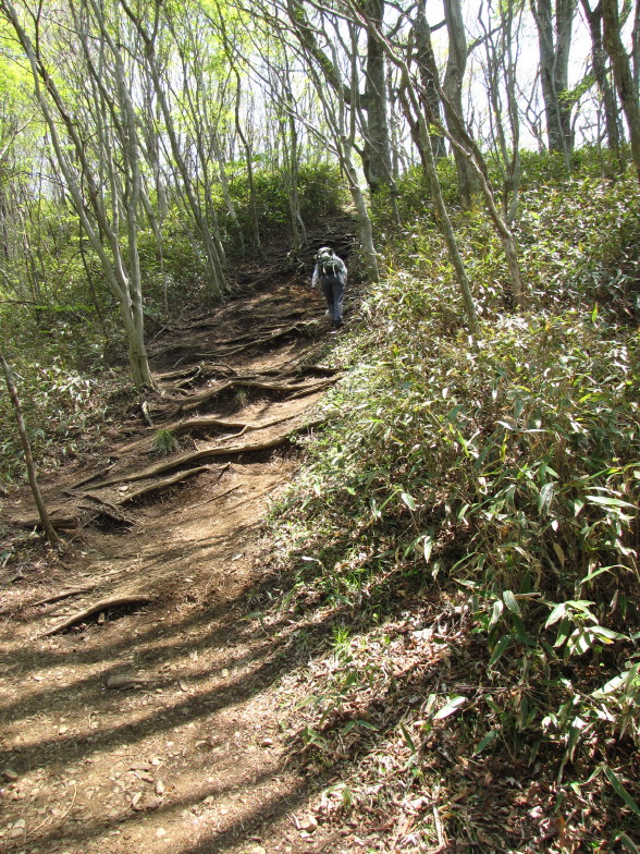 岩と新緑の道　奥久慈男体山_b0116703_22231056.jpg