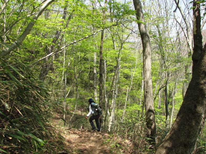 岩と新緑の道　奥久慈男体山_b0116703_2223312.jpg