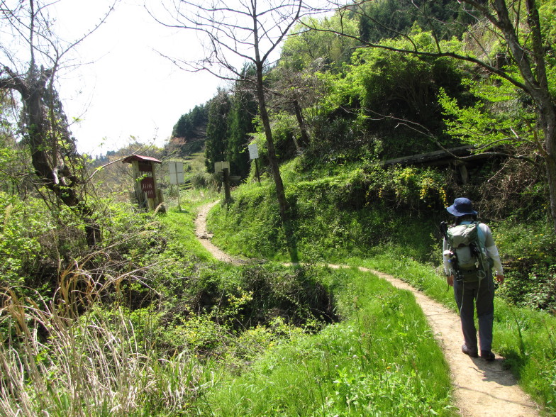 岩と新緑の道　奥久慈男体山_b0116703_2227336.jpg