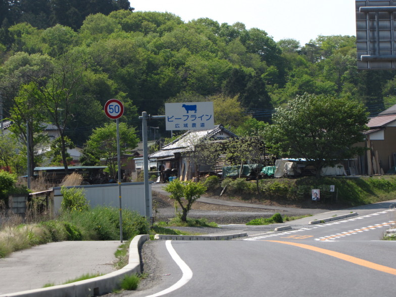 岩と新緑の道　奥久慈男体山_b0116703_22274618.jpg