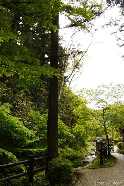 山口県「白糸の滝」へＧＯー☆_c0198903_212769.jpg