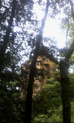 c0077204_1663775.jpg