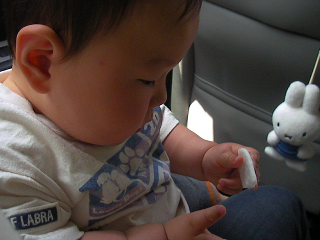 f0038407_942858.jpg