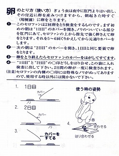 ぎょう虫検査の季節 : 一歩一歩！振り返れば、人生はらせん階段