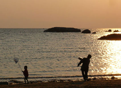 f0201310_236359.jpg