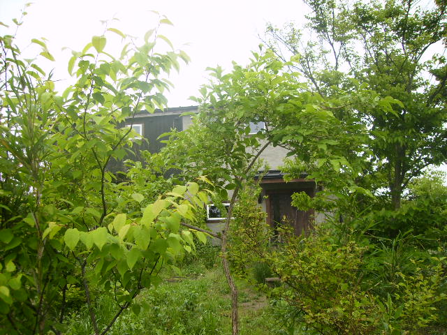 f0208812_21233176.jpg