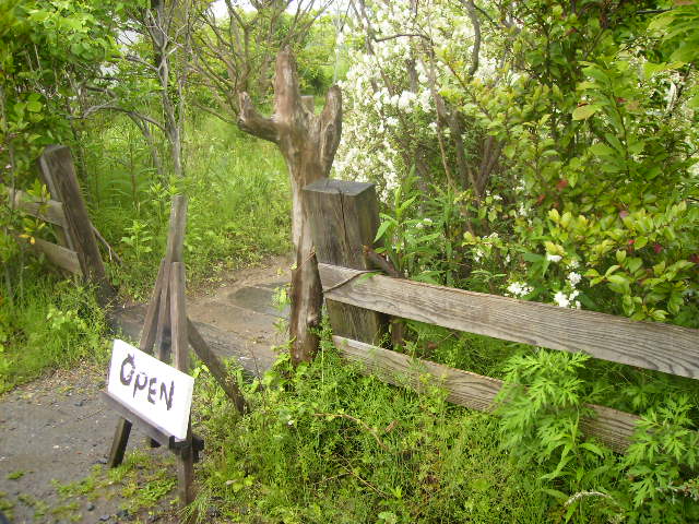 f0208812_21243737.jpg