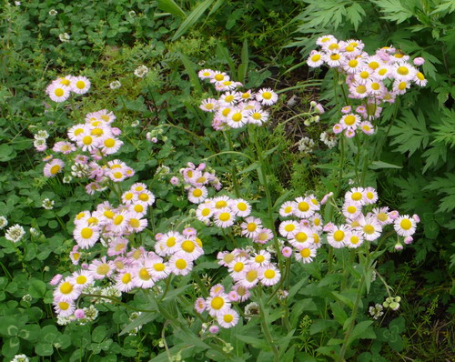 c0101713_2141540.jpg