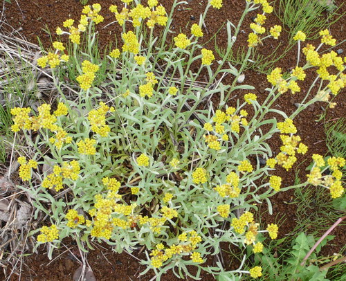 c0101713_2146080.jpg