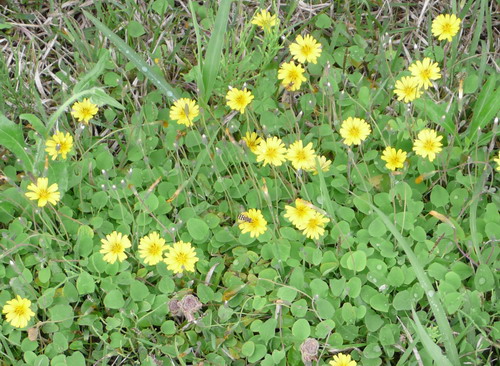c0101713_2243401.jpg