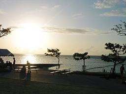 e0090714_1138285.jpg