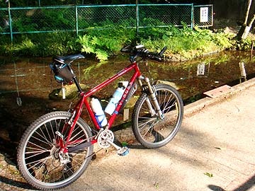 b0146418_1492098.jpg