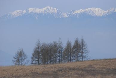 e0119120_9434572.jpg