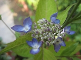 f0139520_230899.jpg