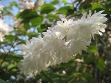 f0139520_232693.jpg
