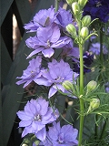 f0139520_233325.jpg