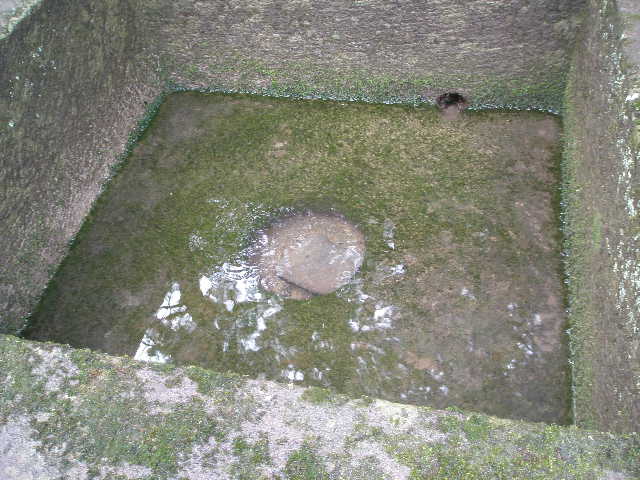 c0141223_10243791.jpg