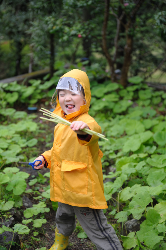 雨の日_d0136628_551471.jpg