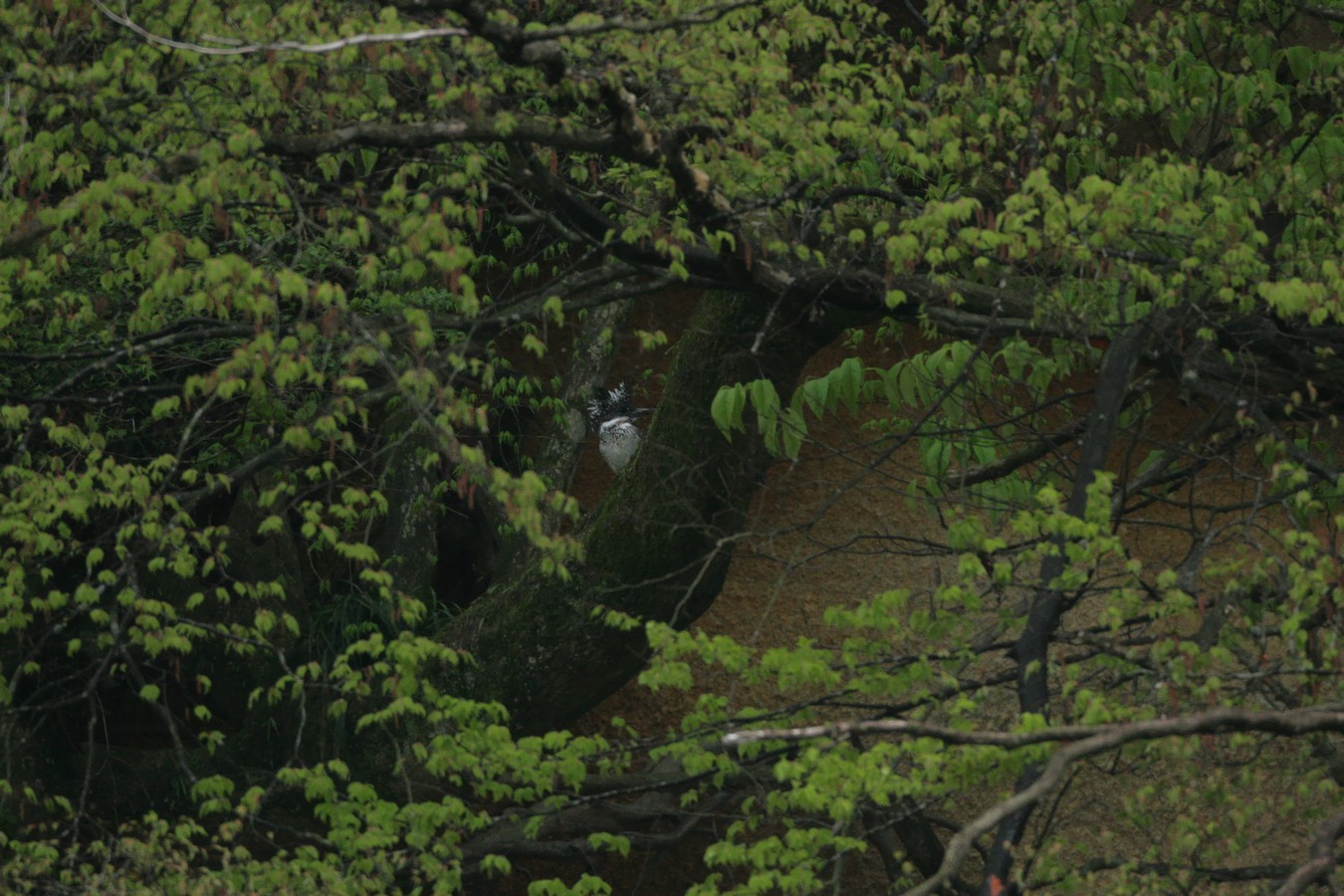 e0154134_0365240.jpg