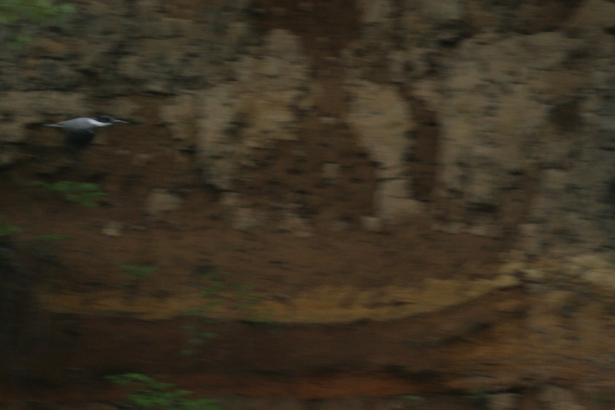 e0154134_0443853.jpg
