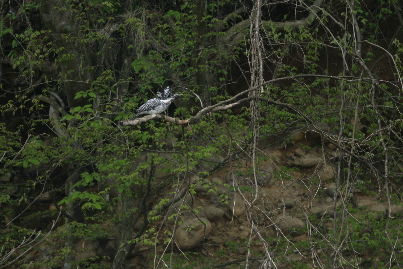 e0154134_0454349.jpg