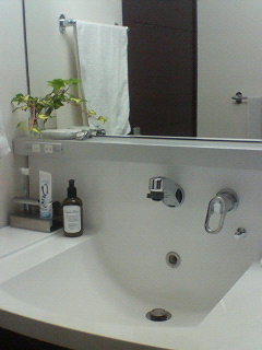 b0079436_21165426.jpg