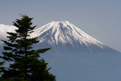 富士山を眺める山旅 3日目 毛無山登山 _d0055236_19171179.jpg