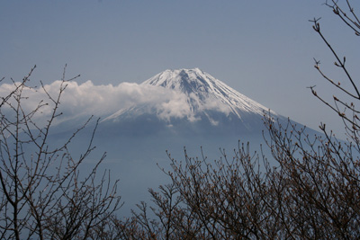 富士山を眺める山旅 3日目 毛無山登山 _d0055236_19344516.jpg