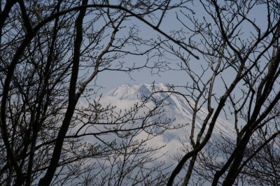 富士山を眺める山旅 3日目 毛無山登山 _d0055236_202246.jpg