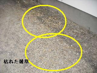 仕事いろいろ準備いろいろ_f0031037_19345952.jpg