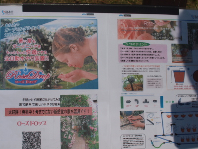 c0119142_5154764.jpg