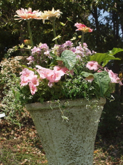 c0119142_5344.jpg