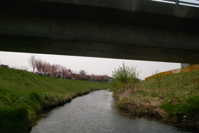 c0184643_22414078.jpg