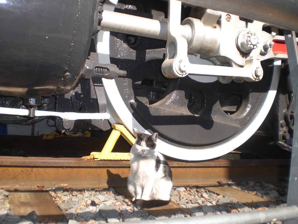 モノレールを運転したいらしい。　上野動物公園　と　SLとネコ_a0006545_23334430.jpg